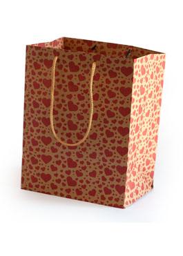 Craft Star Paper Design Bag for Packing Paper Bags