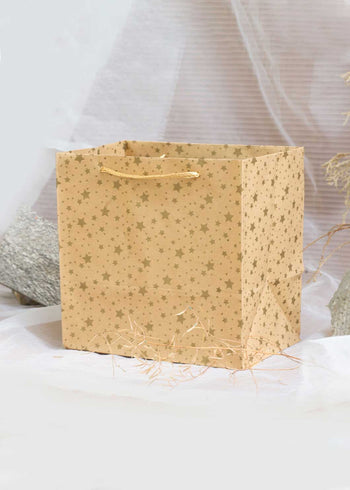 Craft Paper Bag Star Pattern - Craft Bag - Golden Silver Red - 7x5 Paper Bag