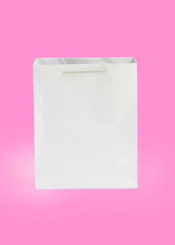 Shiny Bag - Plain Shiny White Handle - Laminated Paper Bag