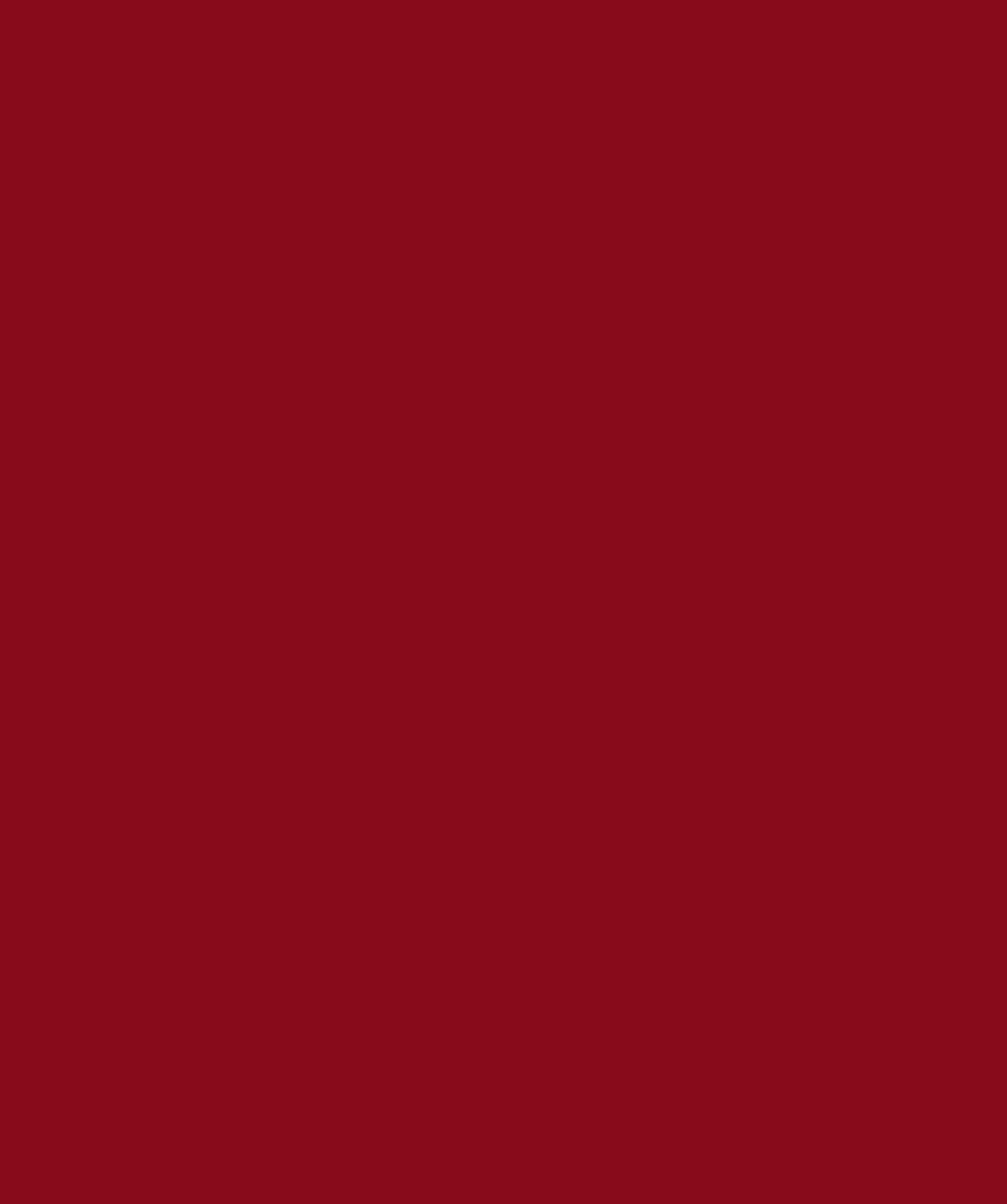 Plain Red Shine Design Bag for Packing Paper Bags